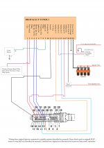 wiring loom Monster Cento.jpg