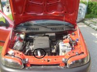 Fiat-Punto-74163.jpg