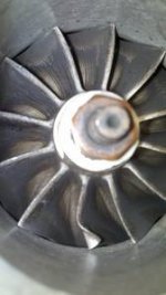 turbo damagedfins.jpg