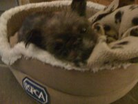 IMG_0111.JPG