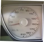 Phedra speedo1.jpg