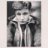 nathann