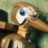 professor_yaffle