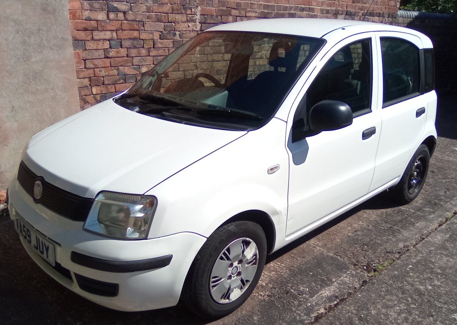 FiatPanda-ActiveEco-EatsBamboo.jpg