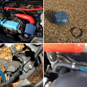 Black Betty-1242 8v Cinq sporting