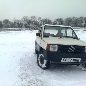 Snow Panda!