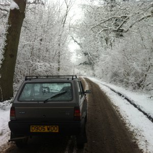 Sisley in the snow.