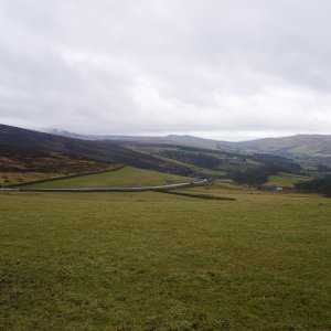 IMGP0803