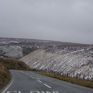 IMGP0814