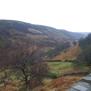 IMGP0830