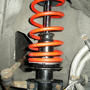 Panda Suspension Coil Spring Spacer