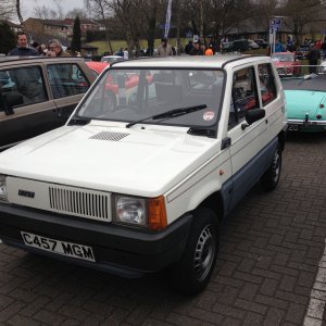 Coleford Show Classic Panda