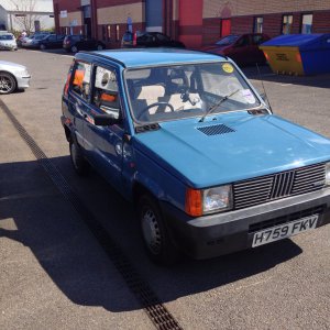 Godiva waiting for her MOT (1)