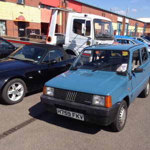 Godiva waiting for her MOT (2)