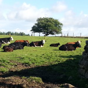6 Dales Trail - Panday 5