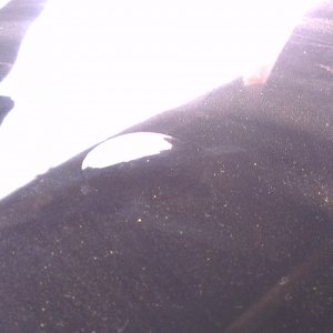 2013-09-07_11_08_40