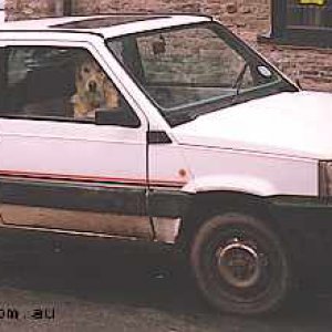 Panda1989