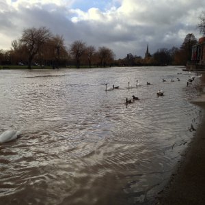 Stratford-upon-Avon floods again