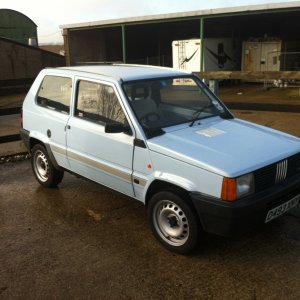 Classic Panda CL