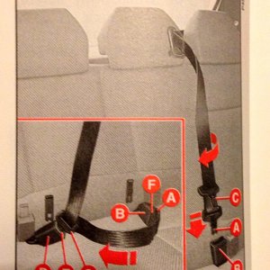 Seatbelt loop I