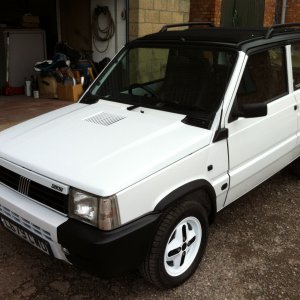 Classic Panda clx
