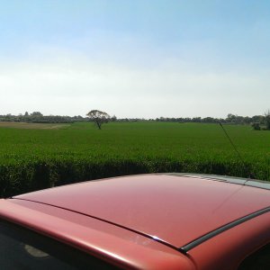 IMAG03641