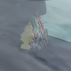 Anyone got an air freshener?