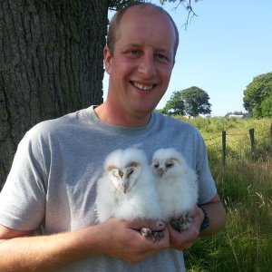 Barn Owl ringing trip