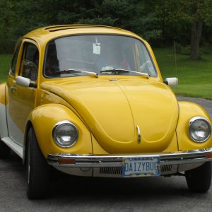 DaizyBug