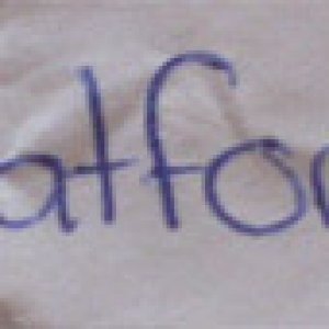 FiatForum1