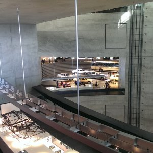 IMAG8390
