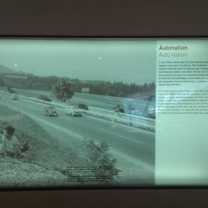 IMAG8433
