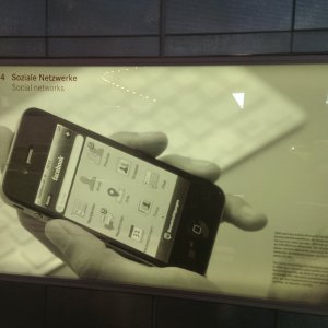 IMAG8477