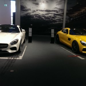 IMAG8671
