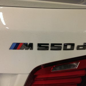 IMAG8711