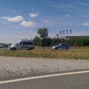 IMAG8804