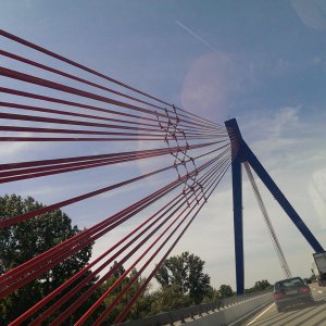 IMAG8827