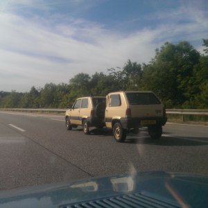 IMAG8838