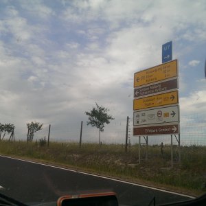 IMAG8875