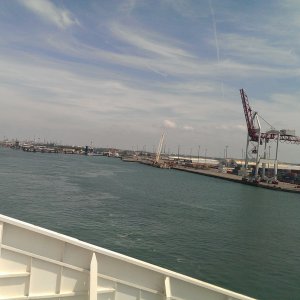 IMAG8986