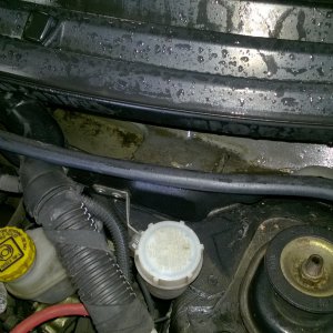 Water collecting under windscreen fiat panda multijet.