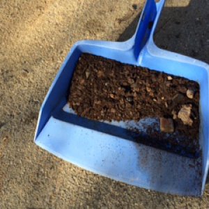 rust for sill in dustpan