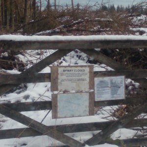 IMAG03431