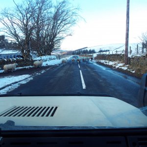 DSCF5720