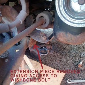 Panda wishbone replacement