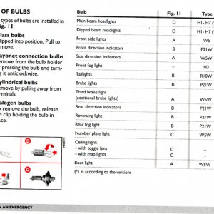 Punto MkII Types of Bulbs