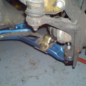 new_wishbone