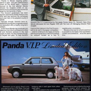 Advert for the Panda VIP