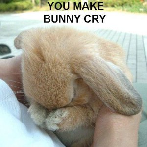 you-make-bunny-cry