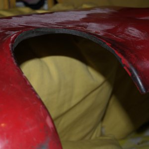 Bumper pics - 6th Feb